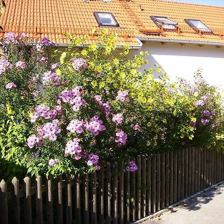 Wiflinger Graben Einfamilienhaus Villa Wörth Eksteriør billede