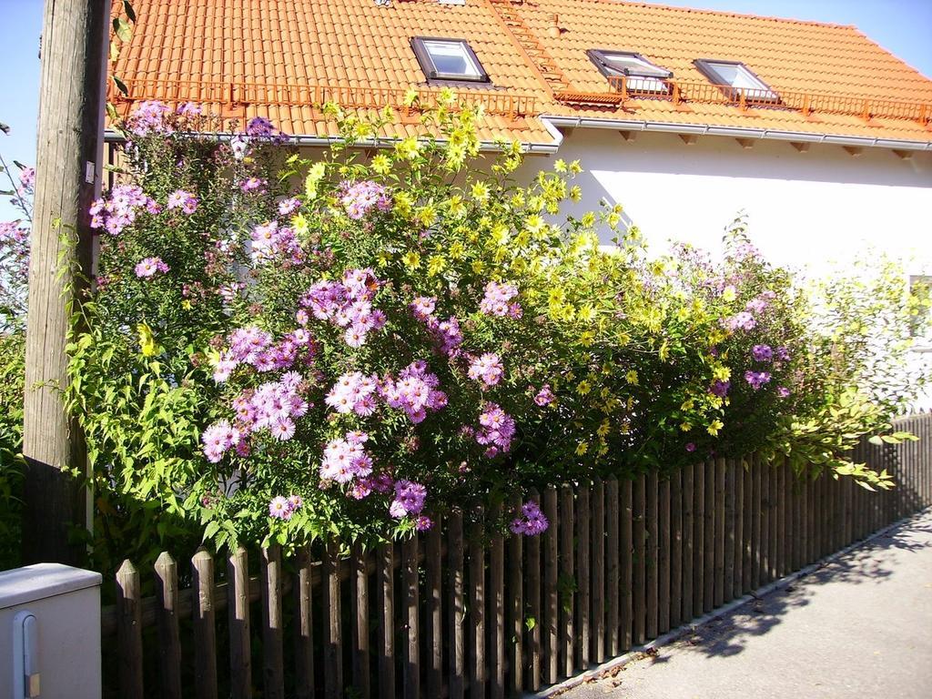 Wiflinger Graben Einfamilienhaus Villa Wörth Eksteriør billede